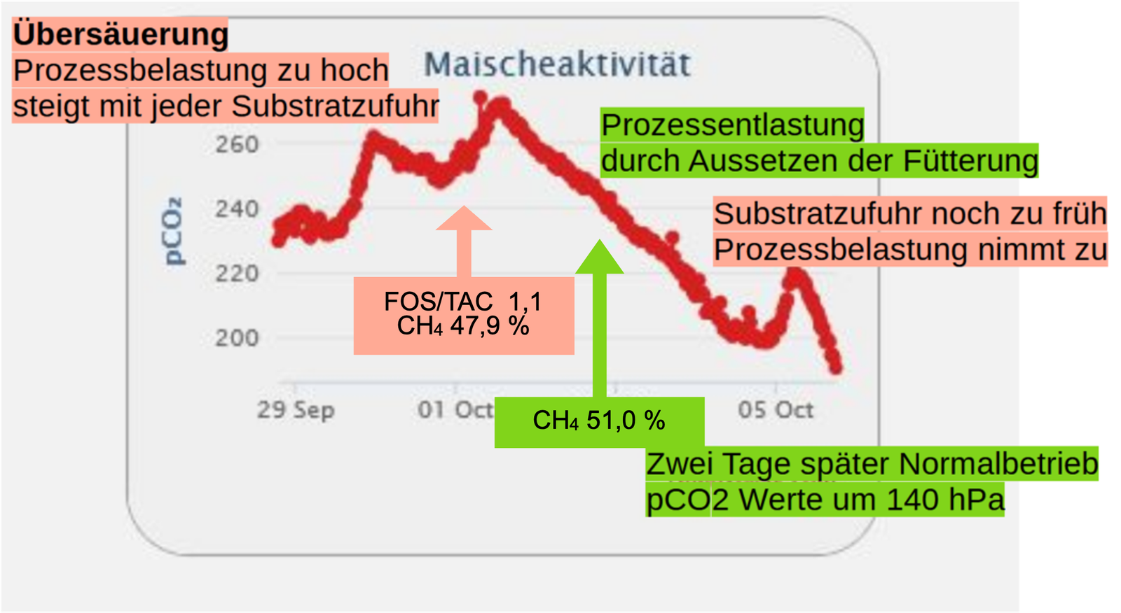 Biogasforschung Uni Ulm